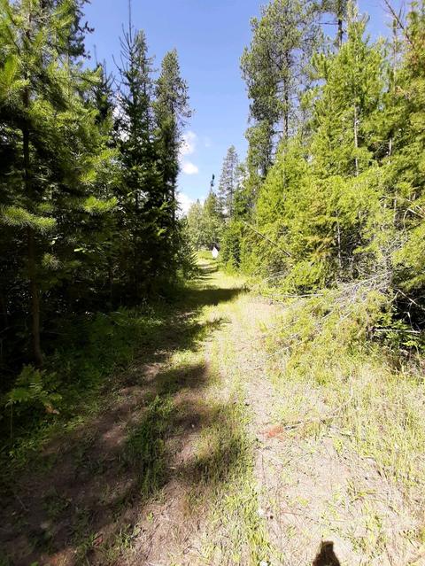2301 Roop, Cocolalla, ID 83813 photo 51