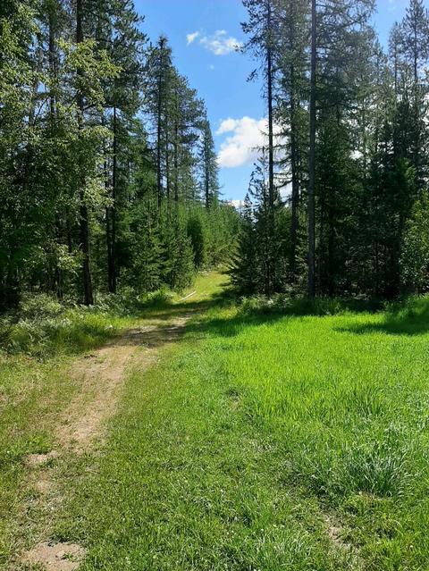 2301 Roop, Cocolalla, ID 83813 photo 35