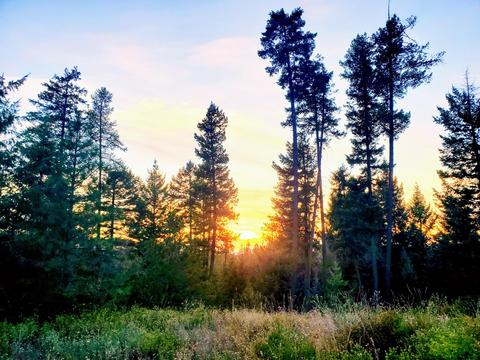 9087 E Howard Rd, Athol, ID 83801 photo 1