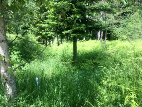 220 Greenview Ter, Pinehurst, ID 83850 photo 1