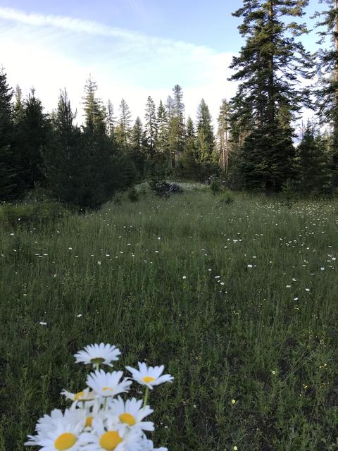 3473 E Chloe Pass, Hayden, ID 83835 photo 1