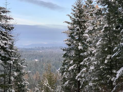 7589 E Forest View Dr, Athol, ID 83801 photo 1