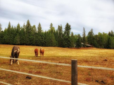 882 White Mountain Rd, Naples, ID 83847 photo 40