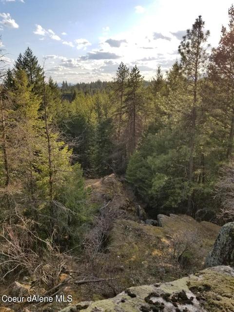 6534 E Greyridge Rd, Athol, ID 83801 photo 74