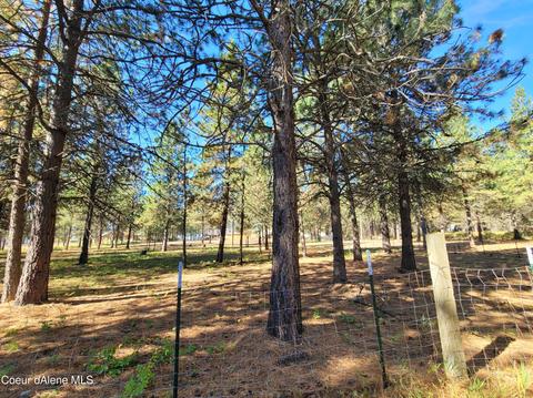 4500 E Rosemont Dr, Athol, ID 83801 photo 25