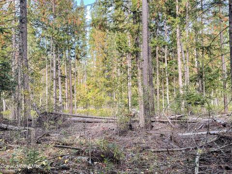850 Cedar Spgs, Sandpoint, ID 83864 photo 47