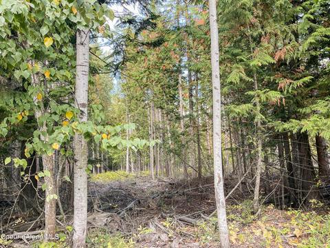 850 Cedar Spgs, Sandpoint, ID 83864 photo 44