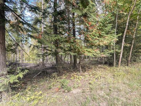 850 Cedar Spgs, Sandpoint, ID 83864 photo 45