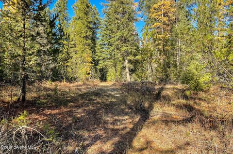 471 Meadowview Dr, Sagle, ID 83860 photo 8