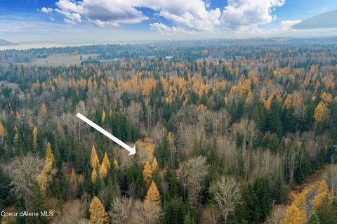 544 E Shingle Mill Rd, Sandpoint, ID 83864 photo 3
