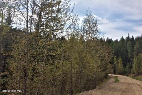 85 Olympic Way, Sandpoint, ID 83864 photo 8