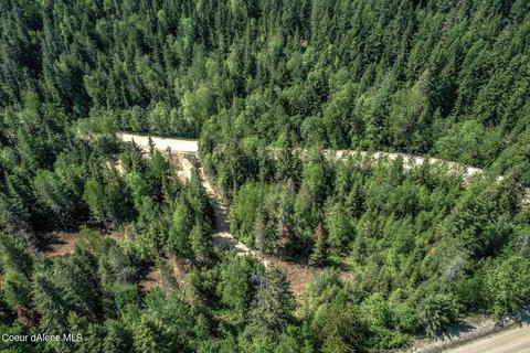 85 Olympic Way, Sandpoint, ID 83864 photo 19
