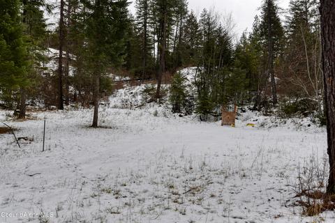 14102 E Bunco Rd, Athol, ID 83801 photo 71