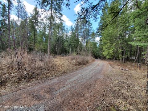 181 Rodeo Rd, Athol, ID 83801 photo 2