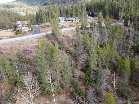 120 Blazing Saddle, Pinehurst, ID 83850 photo 3