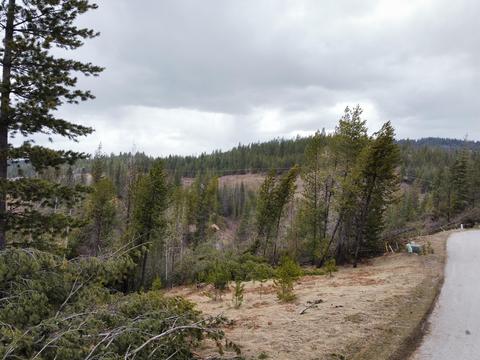 120 Blazing Saddle, Pinehurst, ID 83850 photo 7