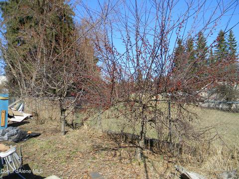 188 5th St, Plummer, ID 83851 photo 22