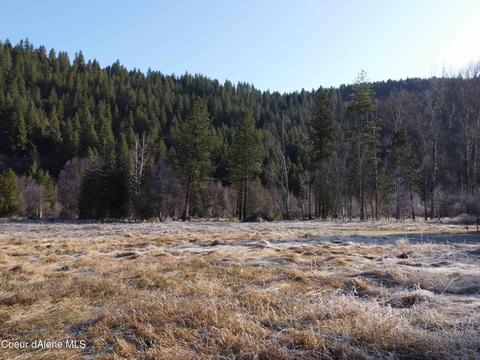 204 S Fork Ln, Pinehurst, ID 83850 photo 8