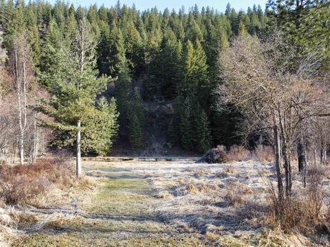 204 S Fork Ln, Pinehurst, ID 83850 photo 13