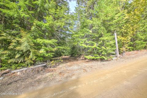 115 Box Cyn, Sandpoint, ID 83864 photo 35