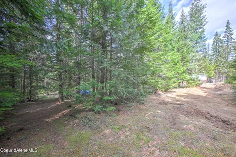 115 Box Cyn, Sandpoint, ID 83864 photo 34