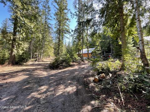 115 Box Cyn, Sandpoint, ID 83864 photo 29