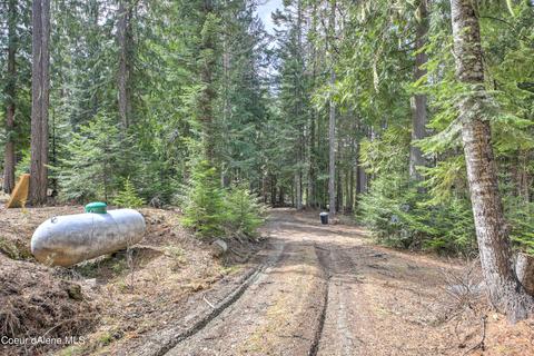 115 Box Cyn, Sandpoint, ID 83864 photo 37