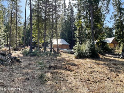 115 Box Cyn, Sandpoint, ID 83864 photo 30