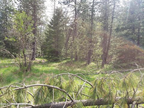 3580 Pine Creek Rd, Pinehurst, ID 83850 photo 1