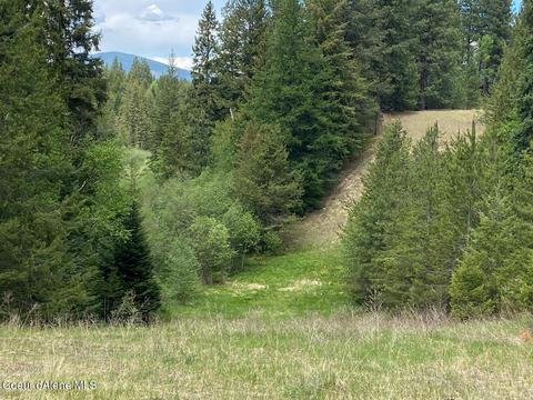 1041 Wilderness Rd, Naples, ID 83847 photo 38
