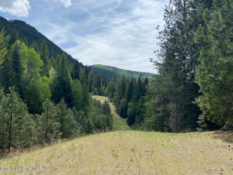 1041 Wilderness Rd, Naples, ID 83847 photo 18