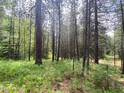 1041 Wilderness Rd, Naples, ID 83847 photo 29