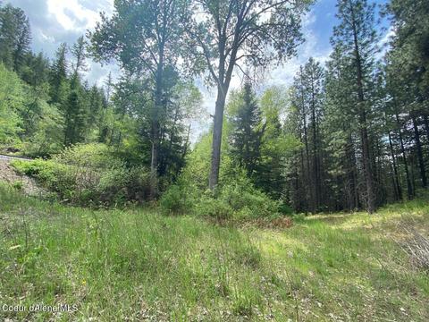 1041 Wilderness Rd, Naples, ID 83847 photo 28