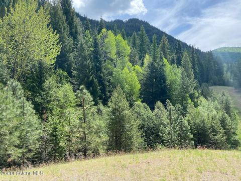 1041 Wilderness Rd, Naples, ID 83847 photo 37