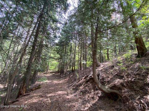 1041 Wilderness Rd, Naples, ID 83847 photo 30