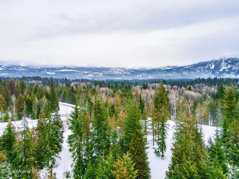 1174 Saddleback Dr, Naples, ID 83847 photo 4