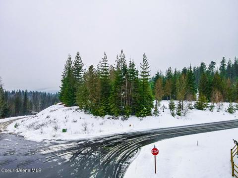 1174 Saddleback Dr, Naples, ID 83847 photo 12