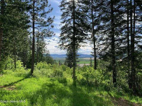 464 Watt Hill Ln, Plummer, ID 83851 photo 43