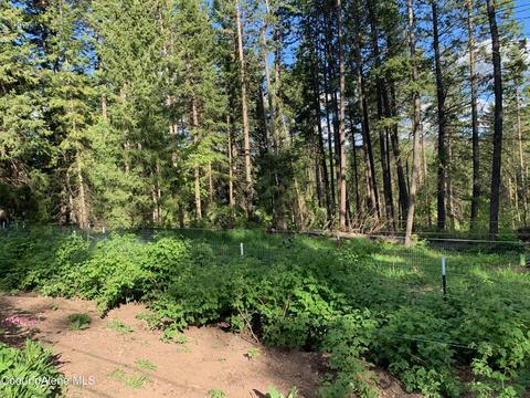 464 Watt Hill Ln, Plummer, ID 83851 photo 34