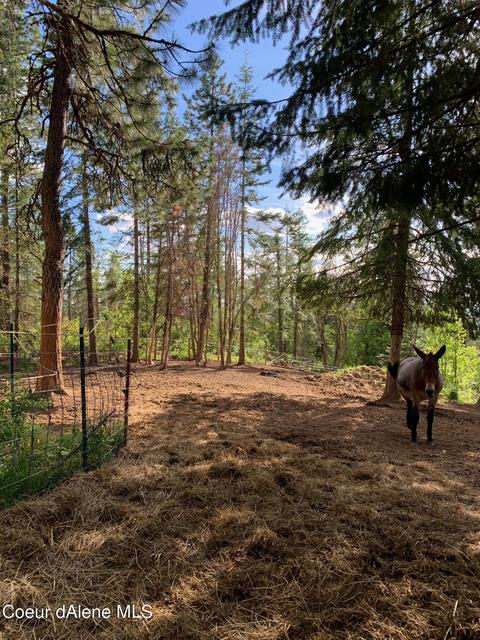 464 Watt Hill Ln, Plummer, ID 83851 photo 38