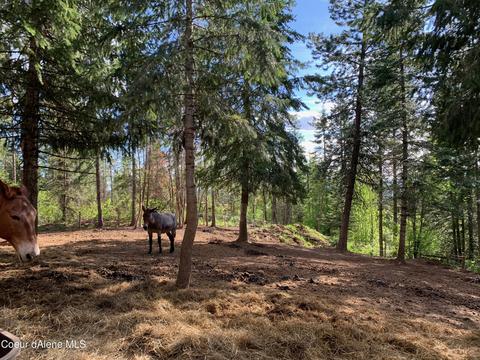 464 Watt Hill Ln, Plummer, ID 83851 photo 40