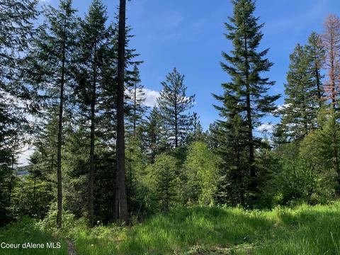 464 Watt Hill Ln, Plummer, ID 83851 photo 44