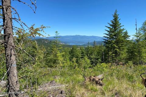 458 Schneiders Rd, Sagle, ID 83860 photo 85