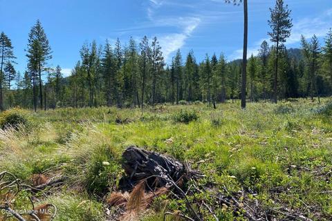458 Schneiders Rd, Sagle, ID 83860 photo 37