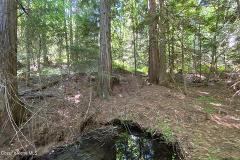458 Schneiders Rd, Sagle, ID 83860 photo 96