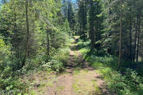 458 Schneiders Rd, Sagle, ID 83860 photo 87