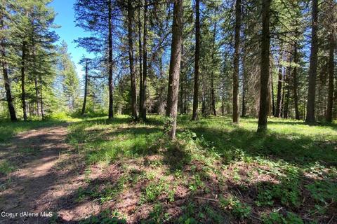 458 Schneiders Rd, Sagle, ID 83860 photo 86