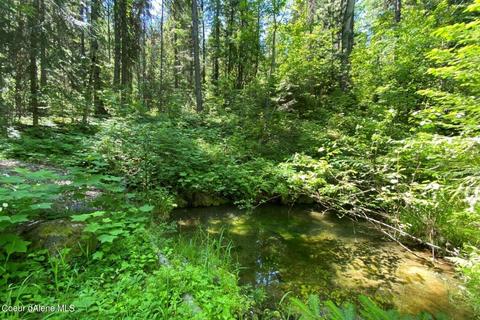 458 Schneiders Rd, Sagle, ID 83860 photo 41