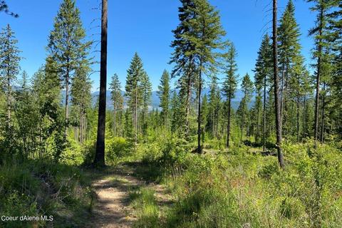 458 Schneiders Rd, Sagle, ID 83860 photo 84