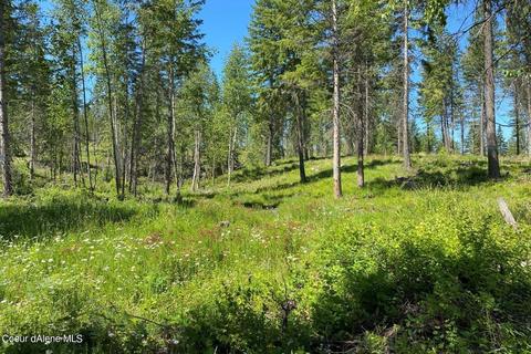458 Schneiders Rd, Sagle, ID 83860 photo 89